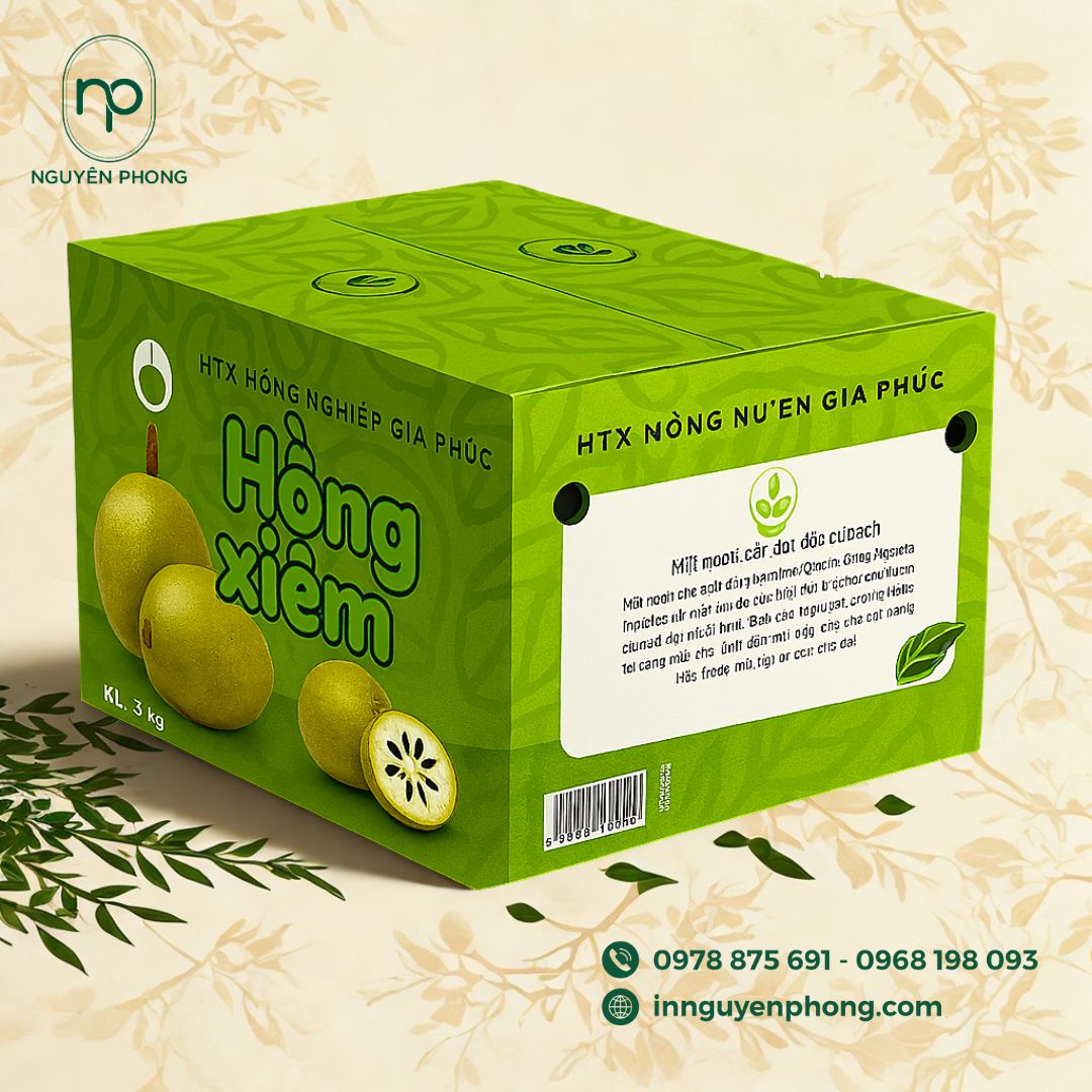 Mẫu thùng carton đựng hồng xiêm 